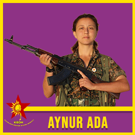 270-270-Aynur-ada