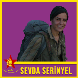 270-270-Sevda-Serinyel