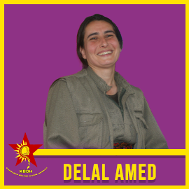 270-270-delal amed